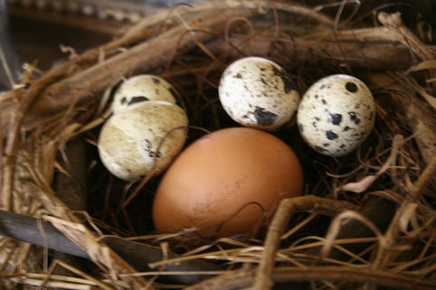 Klik voor groter beeld